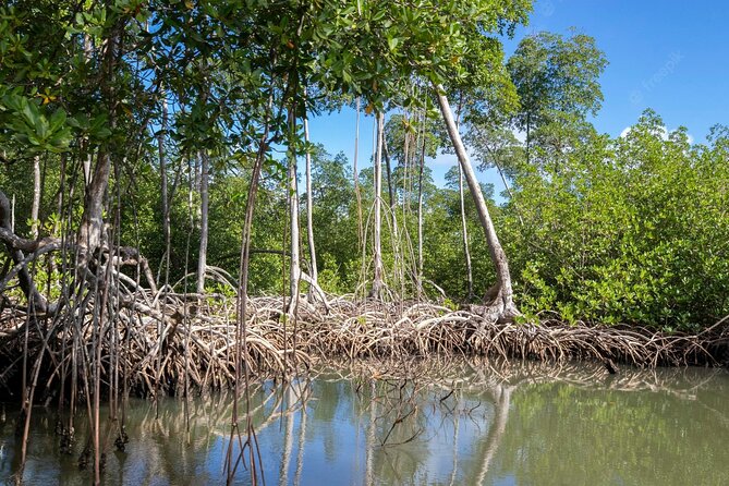 10-Hour Guided Tour of Samana and Bacardi Island Los Haitises - Who will enjoy this tour most