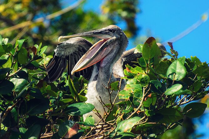 10-Hour Guided Tour of Samana and Bacardi Island Los Haitises - The early ride from Cabarete and Puerto Plata