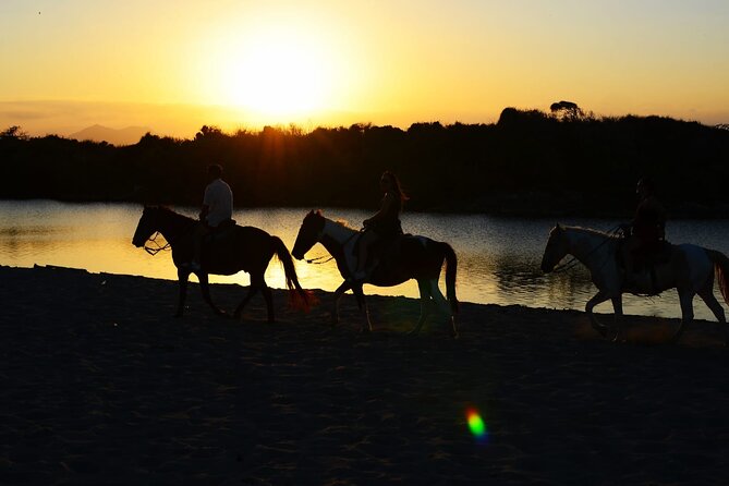 2-Hour Horseback Riding Tour at Sunset from Punta Cana - Key points to know before you book
