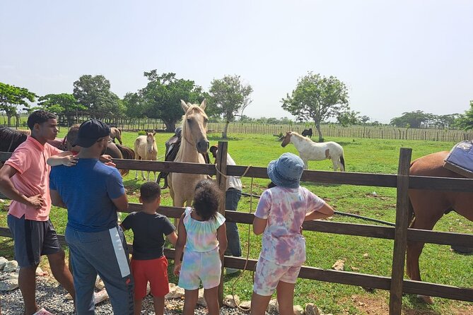 2-Hour Horseback Riding Tour at Sunset from Punta Cana - Macao Beach at sunset