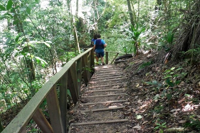 27 Waterfalls of Damajagua – Adventure Tour from Puerto Plata - Timing is the one detail I would clarify first