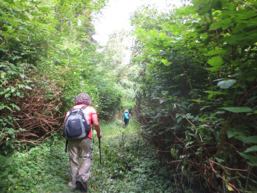 27 Waterfalls Tour with Entrance Fee & Lunch - Lunch, drinks, and what is included