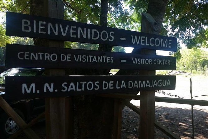 27 Waterfalls With Locals Expert Guides from Damajagua Entrance - Damajagua starts with a climb, not a swim