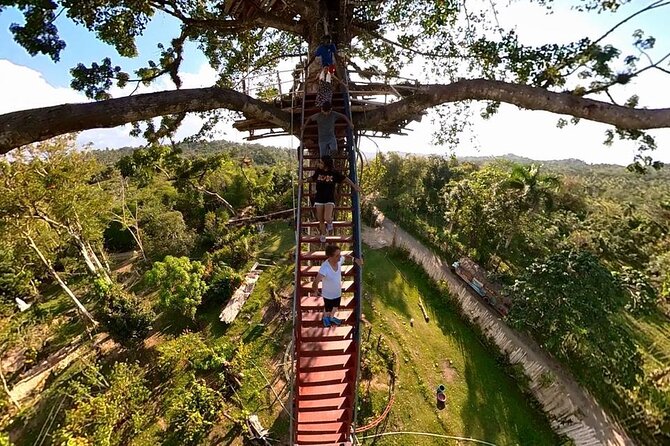 2in1: Los Haitises National Park + Yanigua Waterfall-SPA - Los Haitises: limestone islands, mangroves, and caves