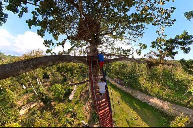 2in1: Los Haitises National Park + Yanigua Waterfall-SPA - Who will enjoy this tour most