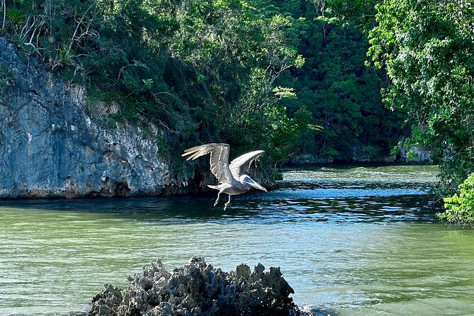 2in1: Los Haitises National Park + Yanigua Waterfall-SPA - Should you pay $129 for this day?