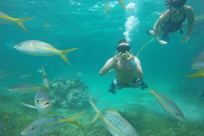 3 ADVENTURES: Sailing Catamaran Cruise - Hooka Diving - Snorkeling - Pickup at 2 pm and the marina wait