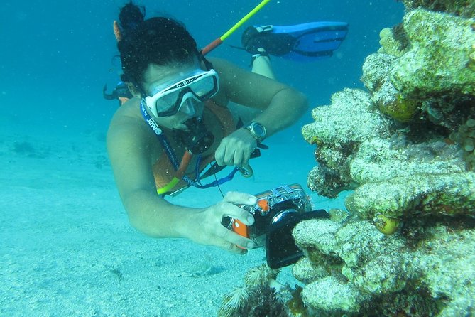 3 ADVENTURES: Sailing Catamaran Cruise - Hooka Diving - Snorkeling - Group size, facilities, and comfort