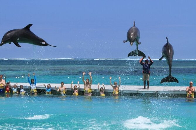3 hrs Glass Boat Tour in Punta Cana - Two hours at the natural pool