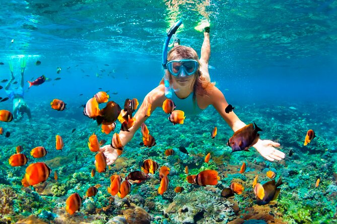 3 hrs Glass Boat Tour in Punta Cana - The glass-bottom boat and what you may actually see