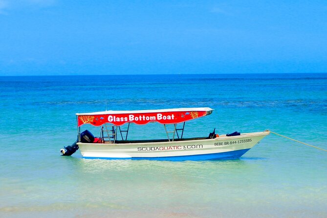 3 hrs Glass Boat Tour in Punta Cana - Who will enjoy this outing most?