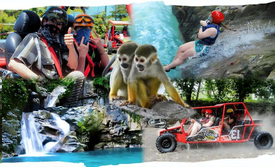 3x1: Monkeyland Damajagua Falls & Buggy Tour Puerto plata - Key points to know before booking