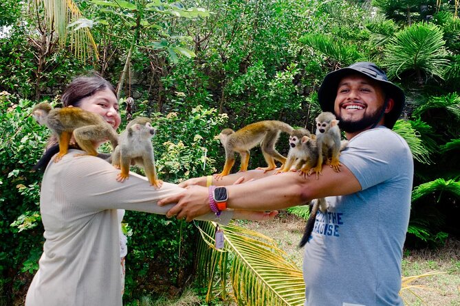 3x1: Monkeyland Waterfalls and Buggy Tour Puerto Plata - Three Puerto Plata adventures in one outing