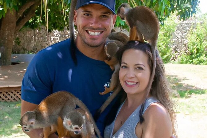 3x1: Monkeyland Waterfalls and Buggy Tour Puerto Plata - Who should choose this combination