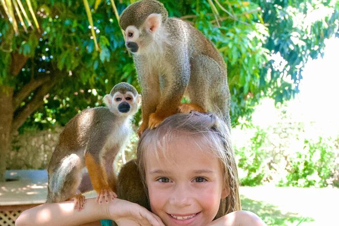 3x1: Monkeyland Waterfalls and Buggy Tour Puerto Plata - Practical questions to settle before you go