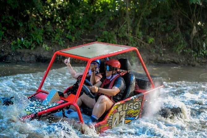 3x1: Monkeyland Waterfalls and Buggy Tour Puerto Plata - Monkeyland: squirrel monkeys at close range
