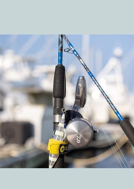 4 hour deep sea fishing experience from punta cana - Booking tips that can prevent trouble