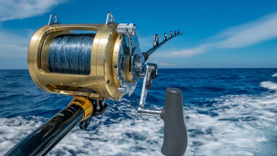 4 hour deep sea fishing experience from punta cana - What this Punta Cana fishing trip is really like