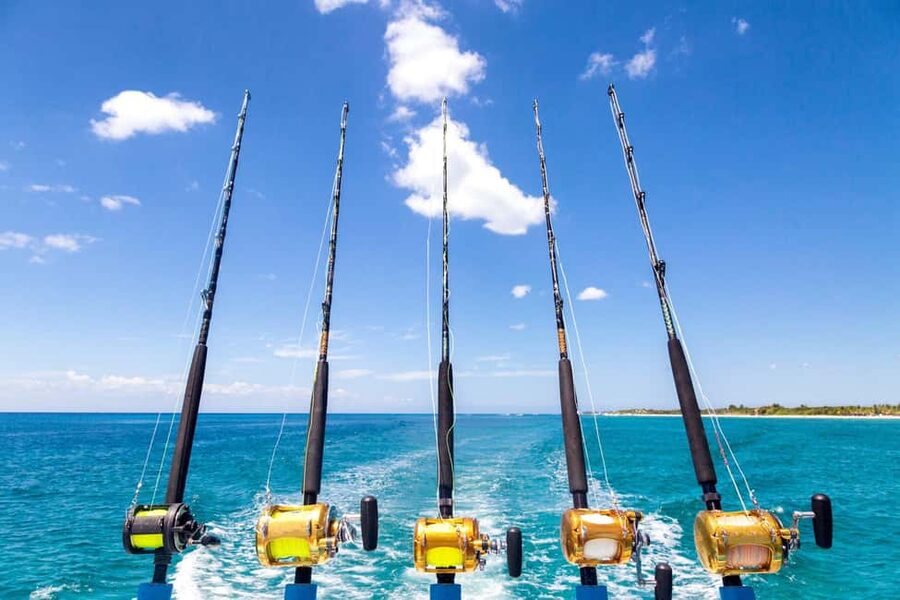 4 hour deep sea fishing experience from punta cana - Four hours of trolling offshore