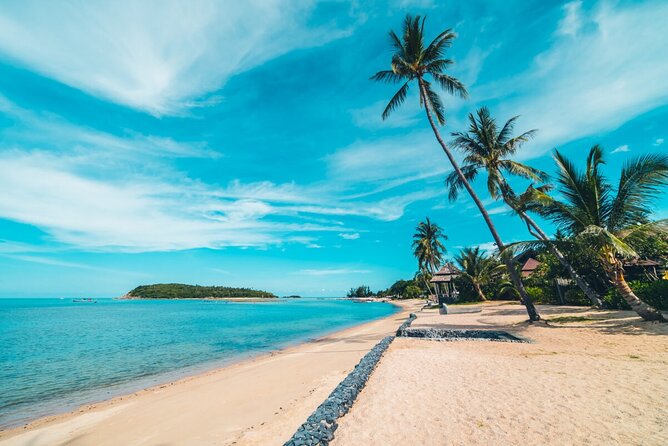 4x4 Adventure Tour, Mountains and Paradise Beaches with Food - Riding the quad along the coast