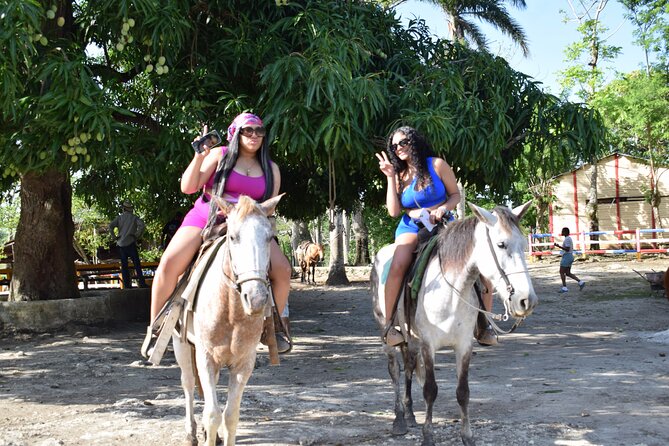 5 tours in 1 (Eco Farm/Horseback/City Tour/Buggy/Zipline) - Coffee, cocoa, and a small family farm near Anamuya