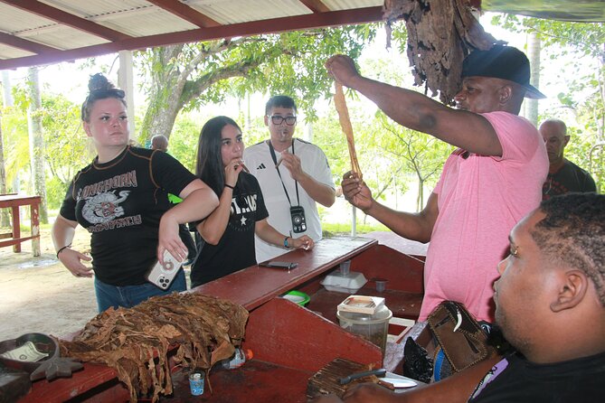 5 Tours of Jungle and Dominican Culture with Lunch - What $159.98 means in real value