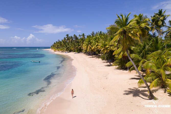 6-Day Private Tour between Bayahibe and Samana Bay - Santo Domingo brings caves and city culture