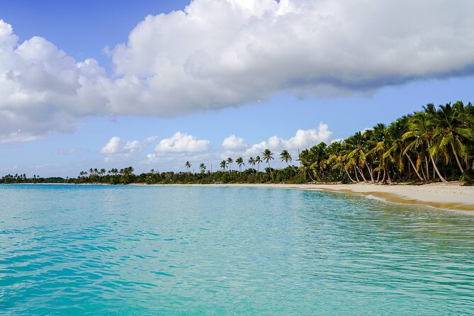 6 Hour Private Saona Island Tour with Snorkeling - A private start from Bayahibe