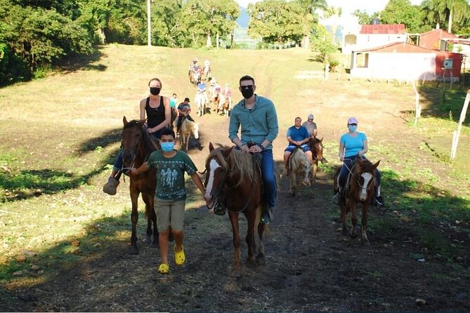 6 in 1 tours Full Day Safari, Zipline, Buggies and Horse Riding - A Full Day That Mixes Ranch Life and Adventure