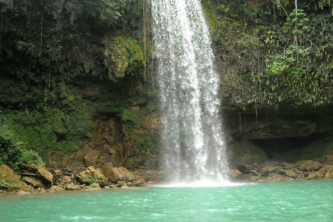 7 Hour- Private Nature Tour of the Monte Plata Rainforest - Key Points at a Glance