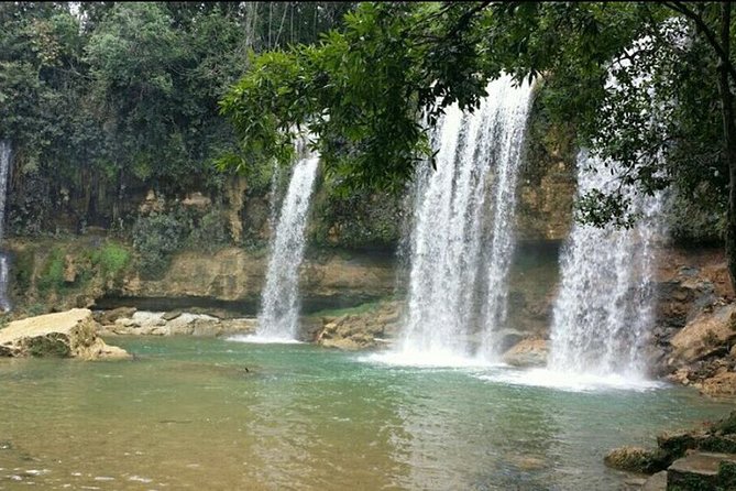 7 Hour- Private Nature Tour of the Monte Plata Rainforest - What the Private Format Really Changes