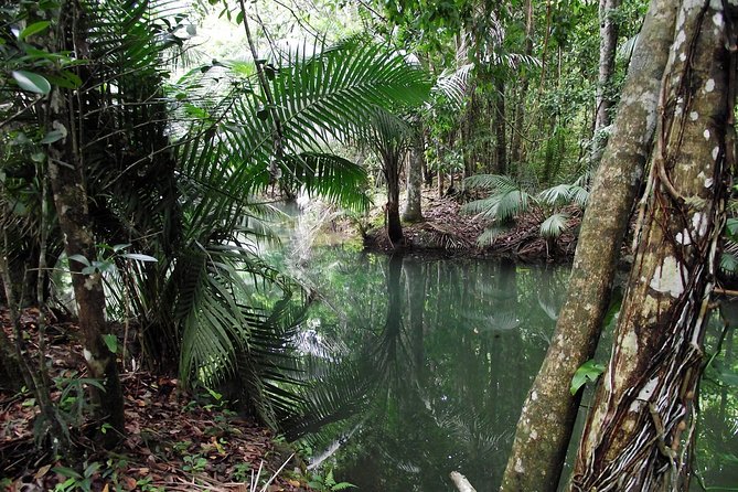 7 Hour- Private Nature Tour of the Monte Plata Rainforest - Transport, Pickup, and a Seven-Hour Schedule