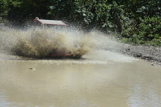 7 Waterfalls Damajagua and Dune Buggy - Damajagua begins with a serious uphill walk
