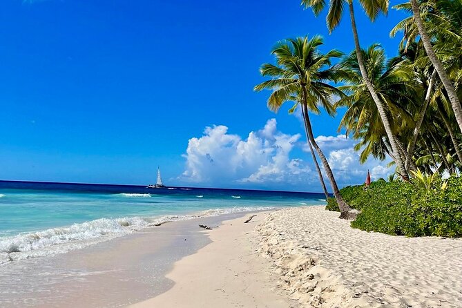 A Magical Day on Saona Island - Key points at a glance