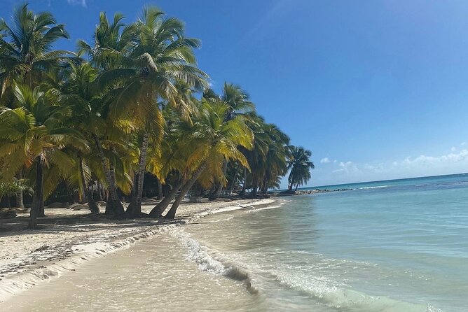 A Magical Day on Saona Island - Why Saona Island is worth the long day