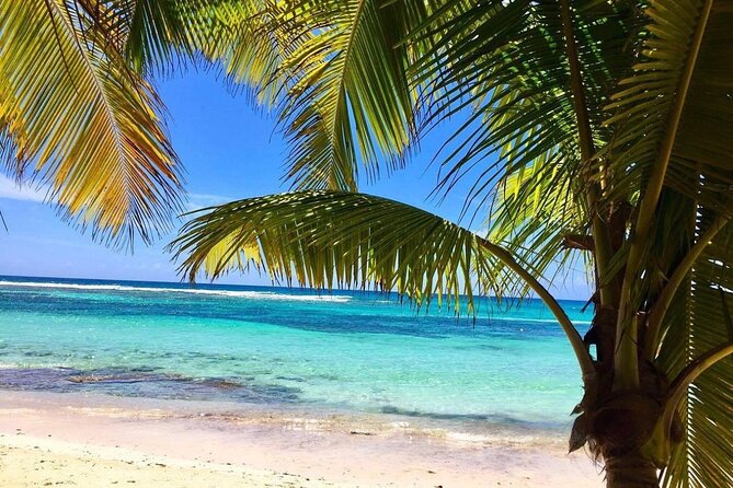 A Magical Day on Saona Island - Three hours on Saona Island
