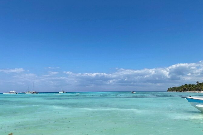 A Magical Day on Saona Island - Dominican buffet lunch and an open bar