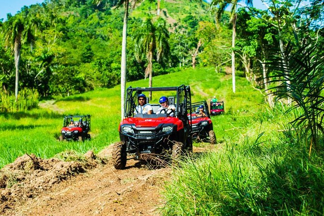Adventure Bundle: Monkeyland, Ziplines & Buggies Punta Cana - Twelve zip lines through the mountain forest
