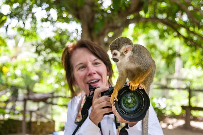 Adventure Bundle: Monkeyland, Ziplines & Buggies Punta Cana - Monkeyland and the squirrel monkeys