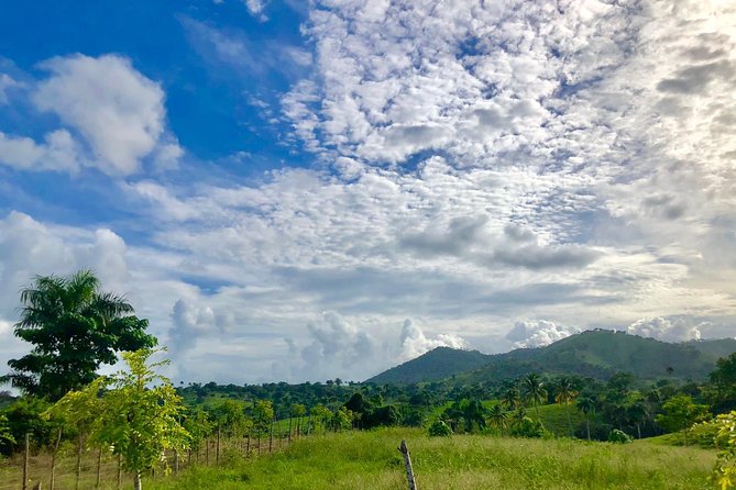 Adventure Bundle: Monkeyland, Ziplines & Buggies Punta Cana - Buggy driving and the Anamuya River