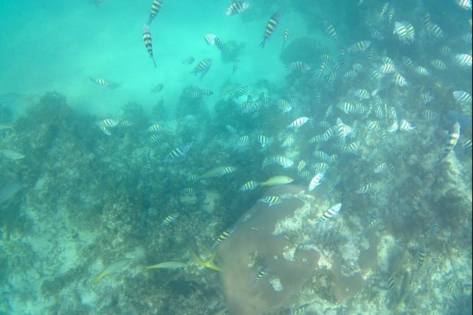 ADVENTURE PACKAGE: Buggy OffRoad Experience & Catamaran Cruise with Snorkeling - A six-hour mix of mud, sea, and music