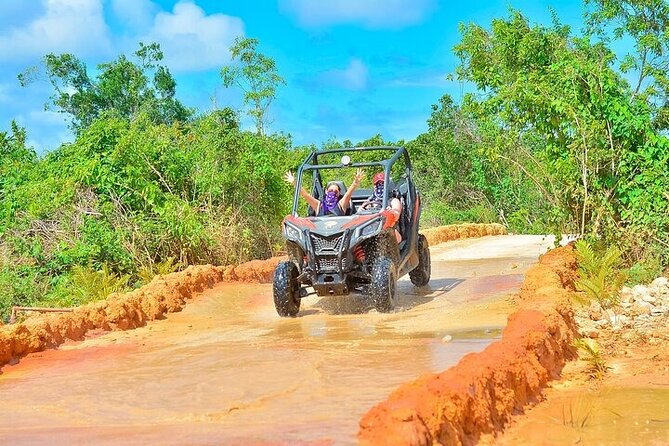 Adventure Tour con Buggies Ziplining Cenote y Taino Culture - Coffee, cacao, and mamajuana tasting