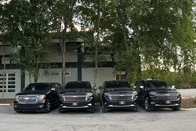 Affordable Private Airport Transfer in Punta Cana - Key points at a glance