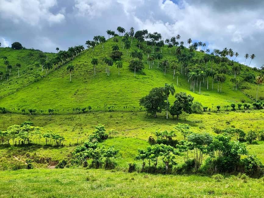 All-Inclusive Day Trip from Punta Cana: DR Culture Immersion - Is $89 a fair price?