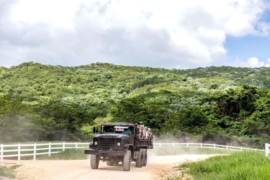 All-Inclusive Day Trip from Punta Cana: DR Culture Immersion - Who will enjoy this day trip?