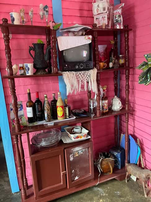 All-Inclusive Day Trip from Punta Cana: DR Culture Immersion - Coffee, cacao, sugar cane, and the taste of local life