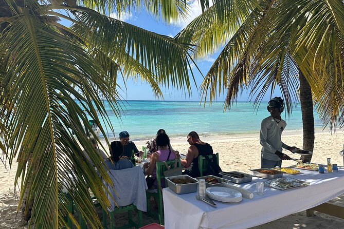 All Inclusive Saona Private Boat Tour from 165 USD p/P - A flexible Caribbean water stop after lunch
