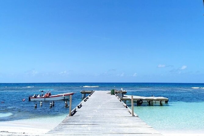 All Inclusive Saona Private Boat Tour from 165 USD p/P - Mano Juan for a glimpse of island life