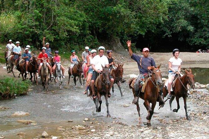Amazing 3-Hour Horseback Riding at Puerto Plata with Pickup - A gentle start for nervous riders
