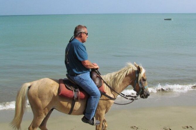 Amazing 3-Hour Horseback Riding at Puerto Plata with Pickup - What the three-hour schedule really means